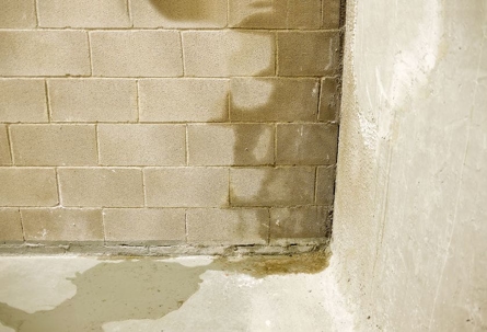 slab leak in wall